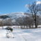 Foto: Castle Hill Lodge Bed and Breakfast 2/55